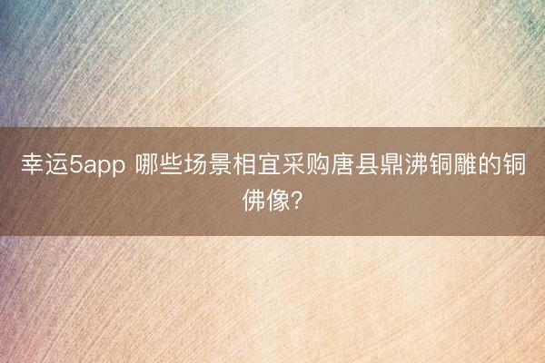 幸運(yùn)5app 哪些場景相宜采購唐縣鼎沸銅雕的銅佛像?