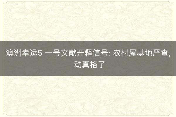 澳洲幸運5 一號文獻(xiàn)開釋信號: 農(nóng)村屋基地嚴(yán)查, 動真格了